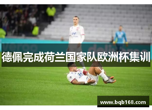 德佩完成荷兰国家队欧洲杯集训